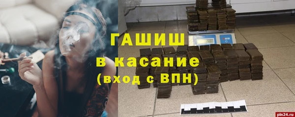 эйфоретик Няндома