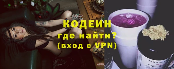 эйфоретик Няндома