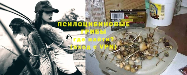 эйфоретик Няндома