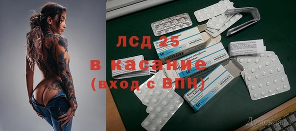 эйфоретик Няндома