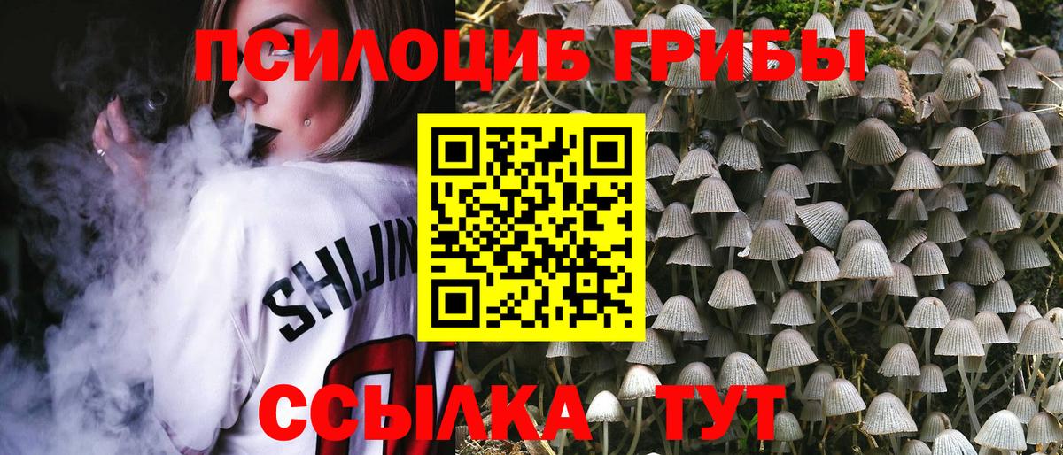 Псилоцибиновые грибы Psilocybine cubensis  наркотики  Вход с VPN  Костомукша  Псилоцибиновые грибы мухоморы 