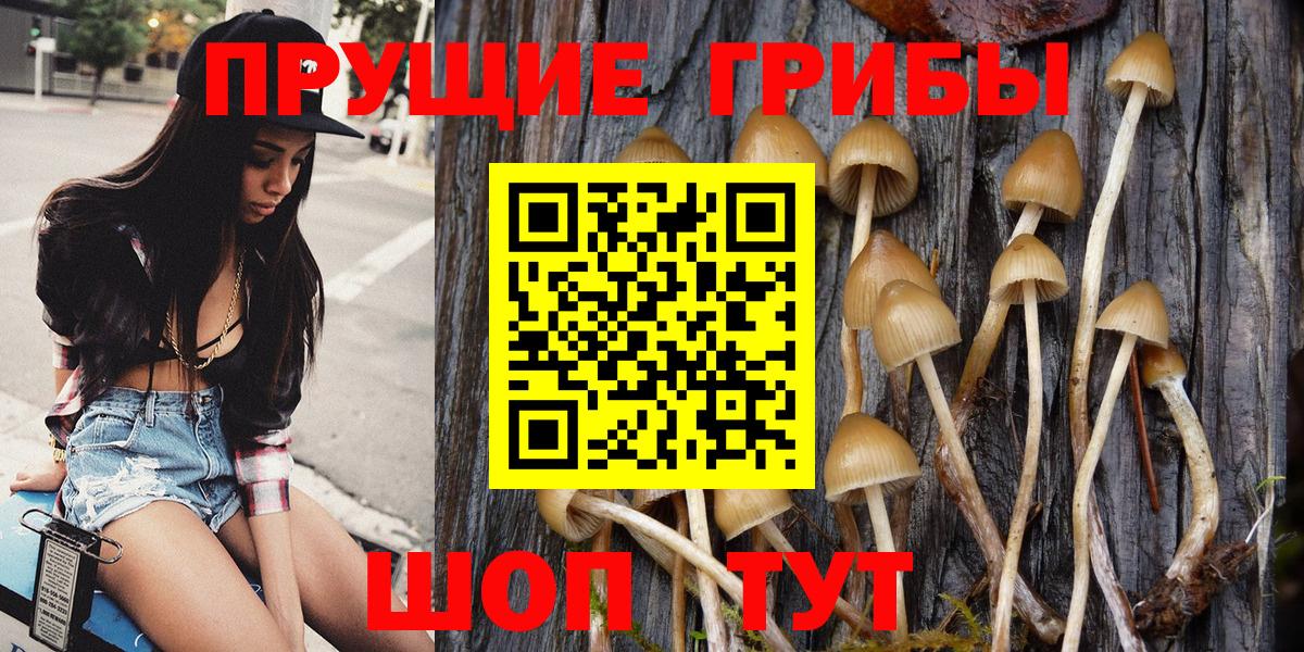 Галлюциногенные грибы прущие грибы Костомукша