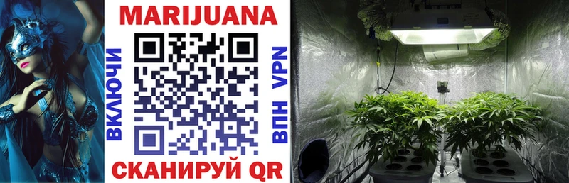 купить наркотики сайты  Костомукша  Бошки Шишки LSD WEED 
